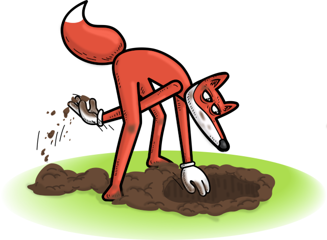 Fox digging