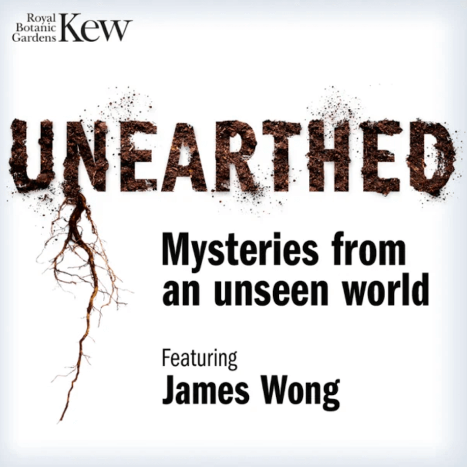 Unearthed - Mysteries from an Unseen World